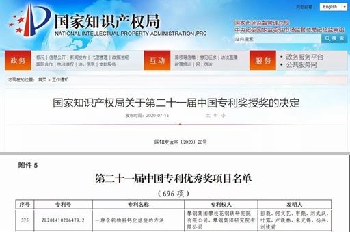 专利最新动态，创新引领科技发展的风向标